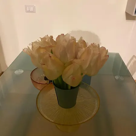 Casa Cherie Apartment Rom