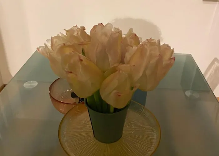 Casa Cherie Appartamento Roma